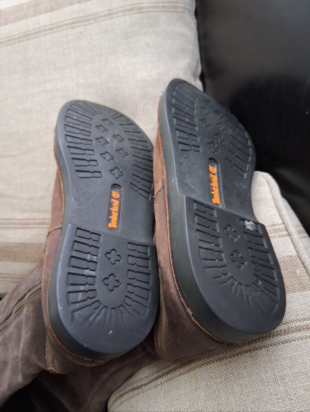 Timberland - Picture 5 of 11